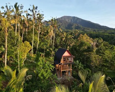 Bali Jungle Cabin