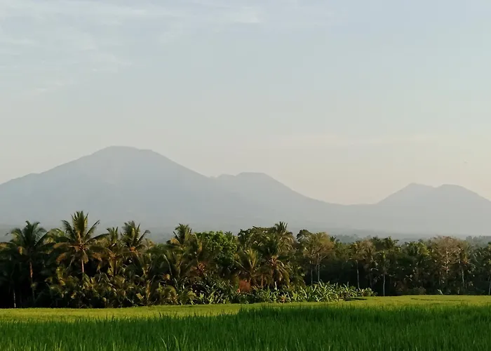 Bali Jungle Villa *