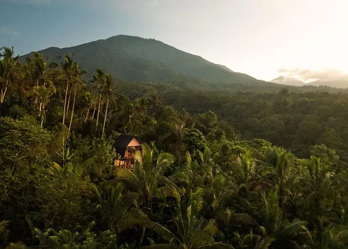 Bali Jungle Villa *